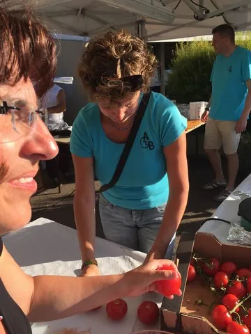 Préparation des tomates pour la salade 