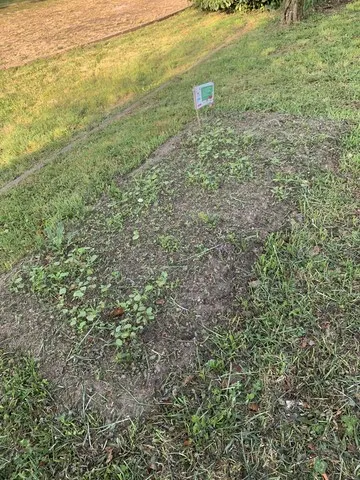 Zone de BZZZ avec l'ACLB Quartier la Bergerie Saint-hERBLAIN