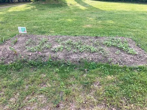 Zone de BZZZ avec l'ACLB Quartier la Bergerie Saint-hERBLAIN